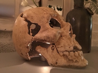 Large Anatomical Skull - Cast Iron - White-Rust